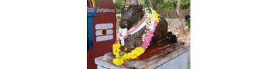 அச்சுதம்பேட்டை